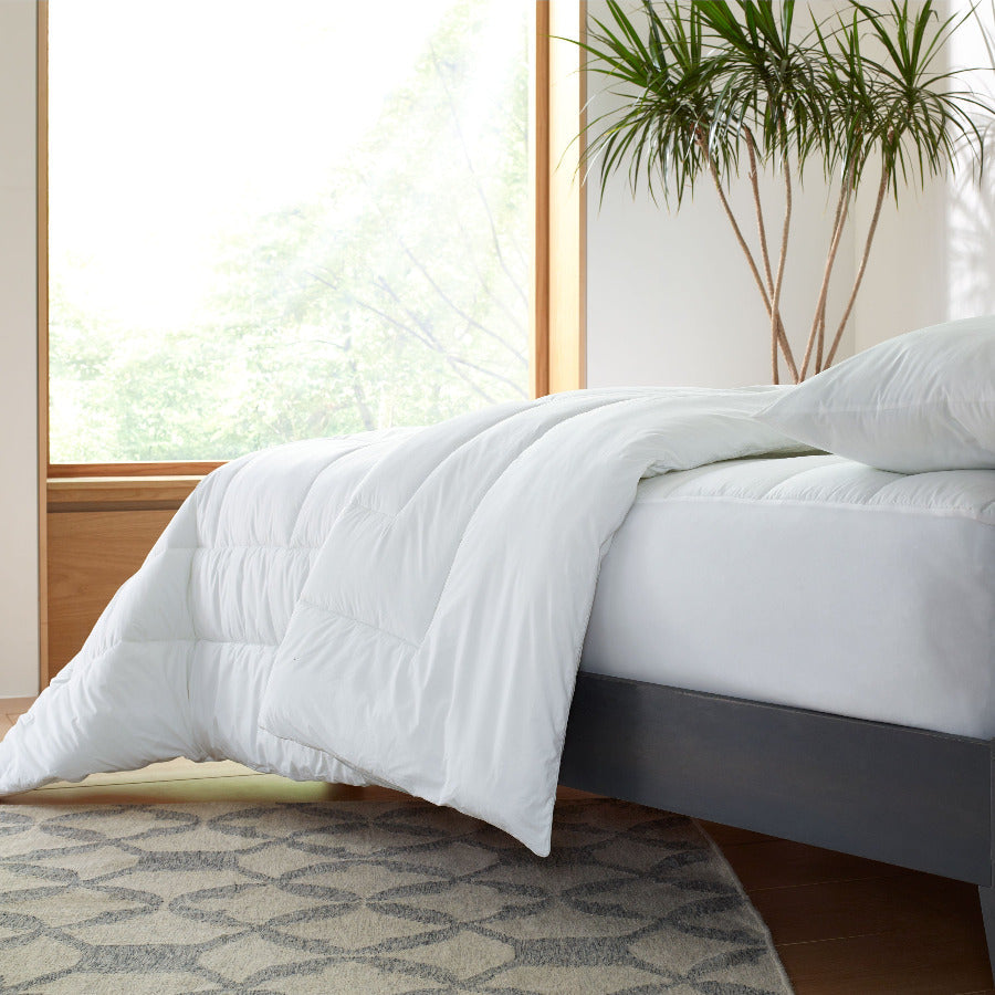 Clean Design Home® All-Season Comforter - P's One-Stop Shop 