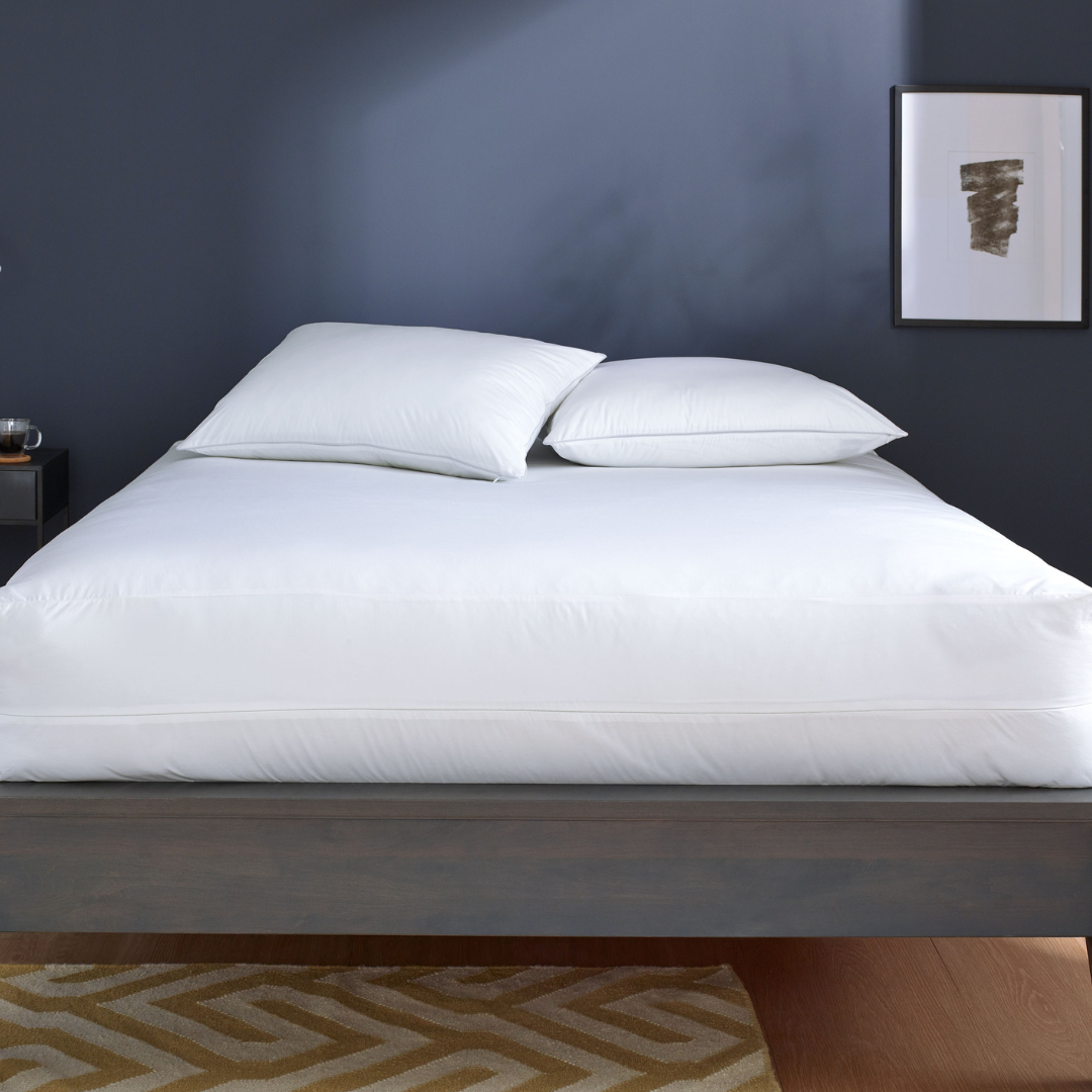 Clean Design Home® Allergen-Proof Pillow Encasement - P's One-Stop Shop 