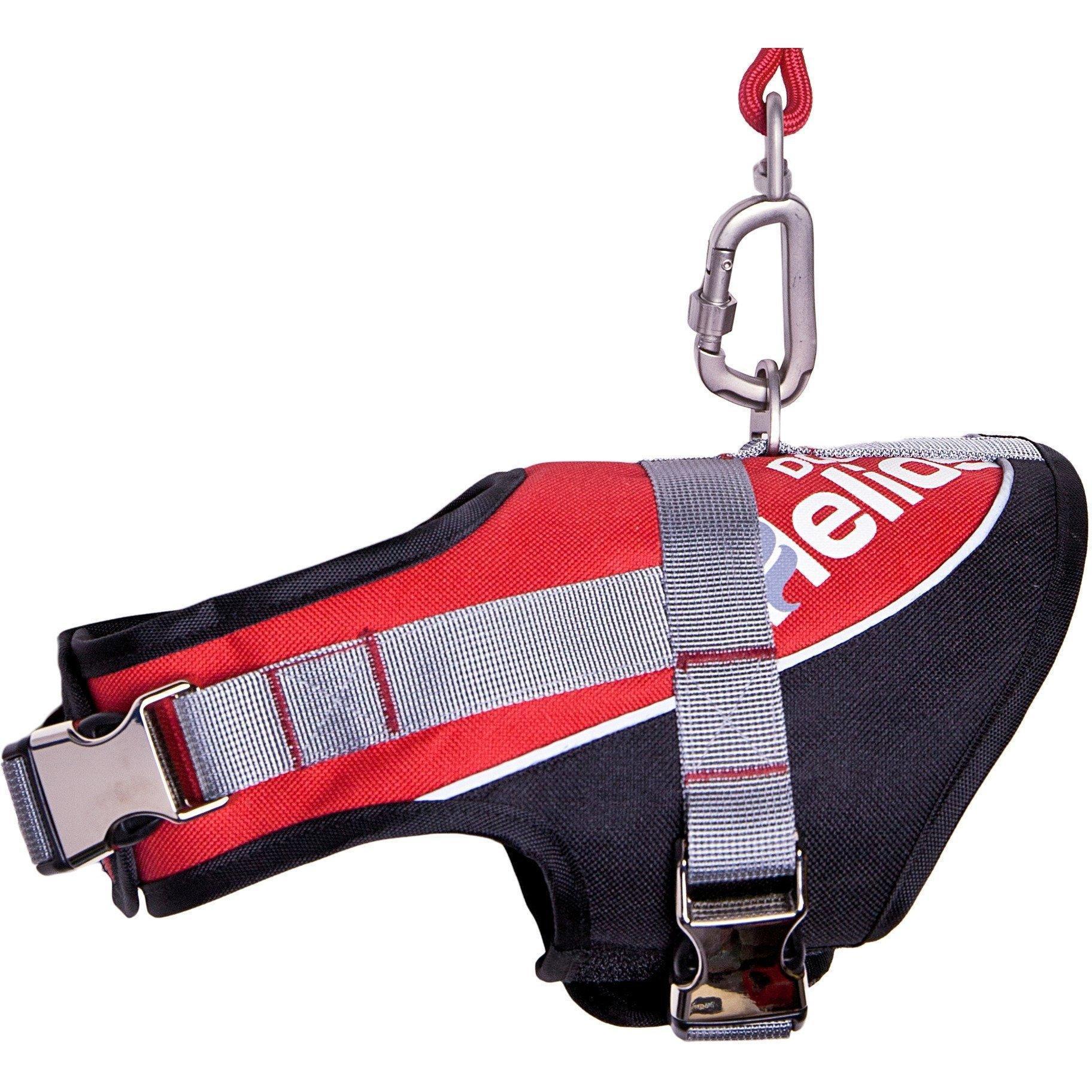Dog Helios ® 'Bark-Mudder' 2-in-1 Reflective and Adjustable Sporty Dog Harness and Leash - P's One-Stop Shop 