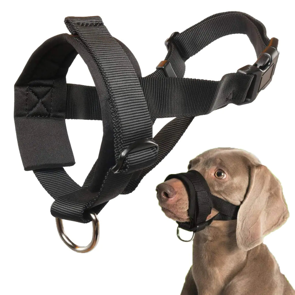 Dog Muzzle for Small Medium Large Dogs Anti Biting Barking Chewing with Soft Padding and Adjustable Loop - P's One-Stop Shop 