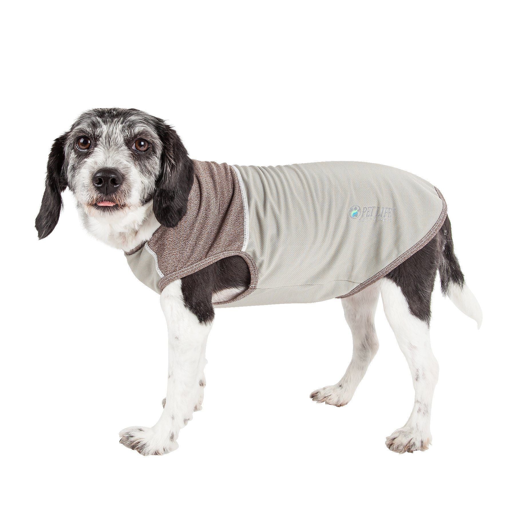 Pet Life ® Active 'Aero-Pawlse' Quick-Dry and 4-Way-Stretch Yoga Fitness Dog T-Shirt Tank Top - P's One-Stop Shop 