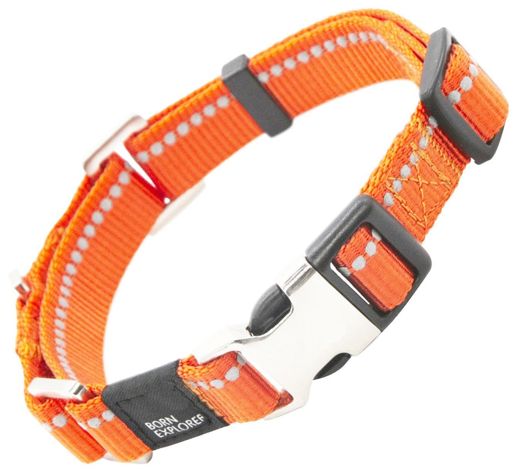Pet Life ® 'Advent' Outdoor Series 3M Reflective 2-in-1 Durable Martingale Training Dog Leash and Collar - P's One-Stop Shop 