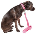 Pet Life ® 'Aero Mesh' 2-In-1 Breathable and Adjustable Dual-Sided Mesh Dog Leash and Collar - P's One-Stop Shop 