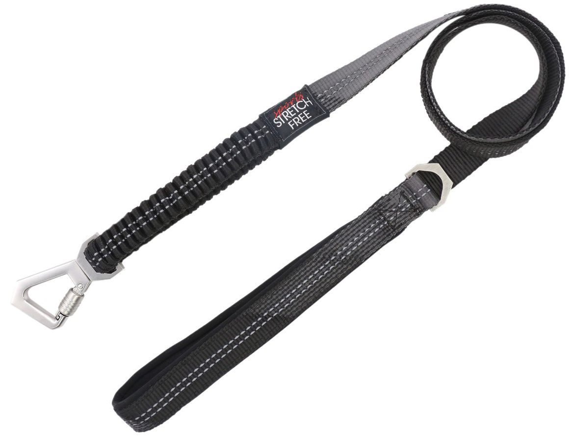 Pet Life ® 'Geo-prene' 2-in-1 Shock Absorbing Neoprene Padded Reflective Dog Leash and Collar - P's One-Stop Shop 