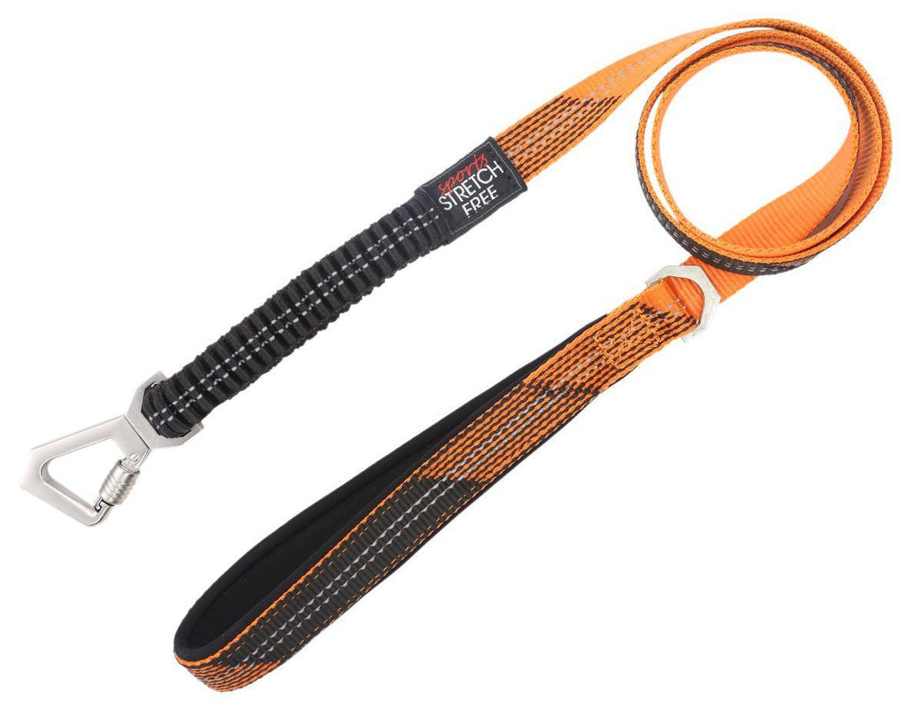 Pet Life ® 'Geo-prene' 2-in-1 Shock Absorbing Neoprene Padded Reflective Dog Leash and Collar - P's One-Stop Shop 