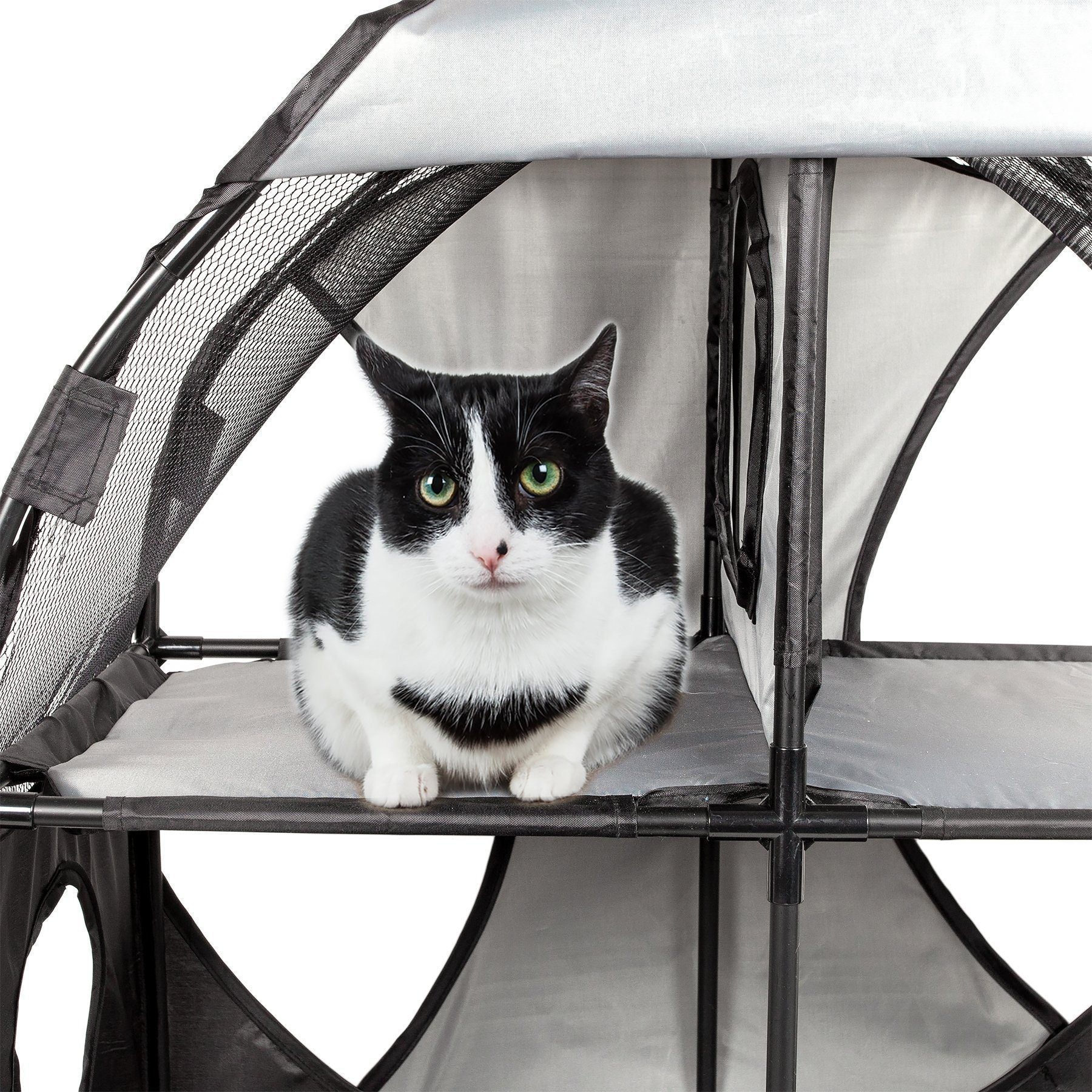 Pet Life ® 'Kitty-Play' Collapsible Travel Interactive Kitty Cat Tree Maze House Lounger Tunnel Lounge - P's One-Stop Shop 