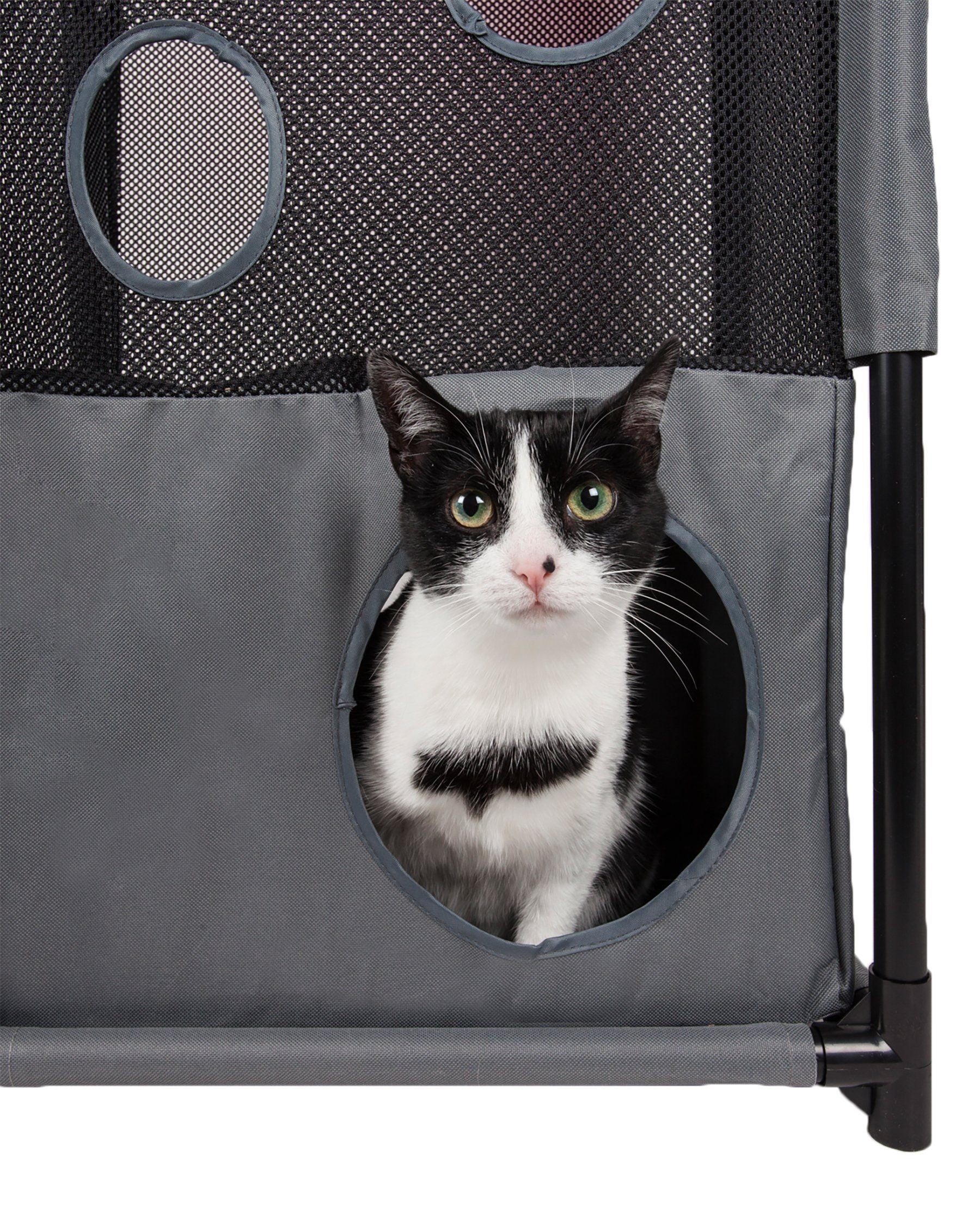 Pet Life ® 'Kitty-Square' Collapsible Travel Interactive Kitty Cat Tree Maze House Lounger Tunnel Lounge - P's One-Stop Shop 
