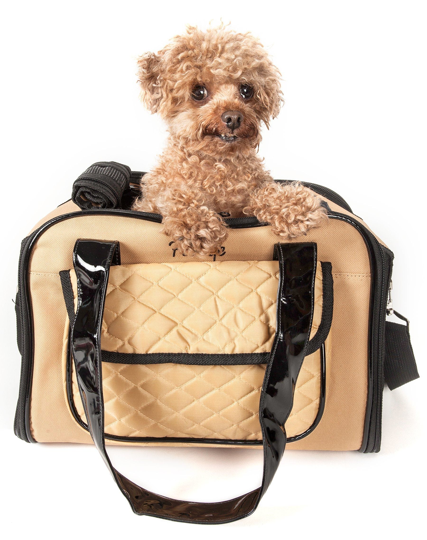 Pet Life ® Mystique Airline Approved Fashion Designer Travel Pet Dog Carrier w/ Pouch - P's One-Stop Shop 