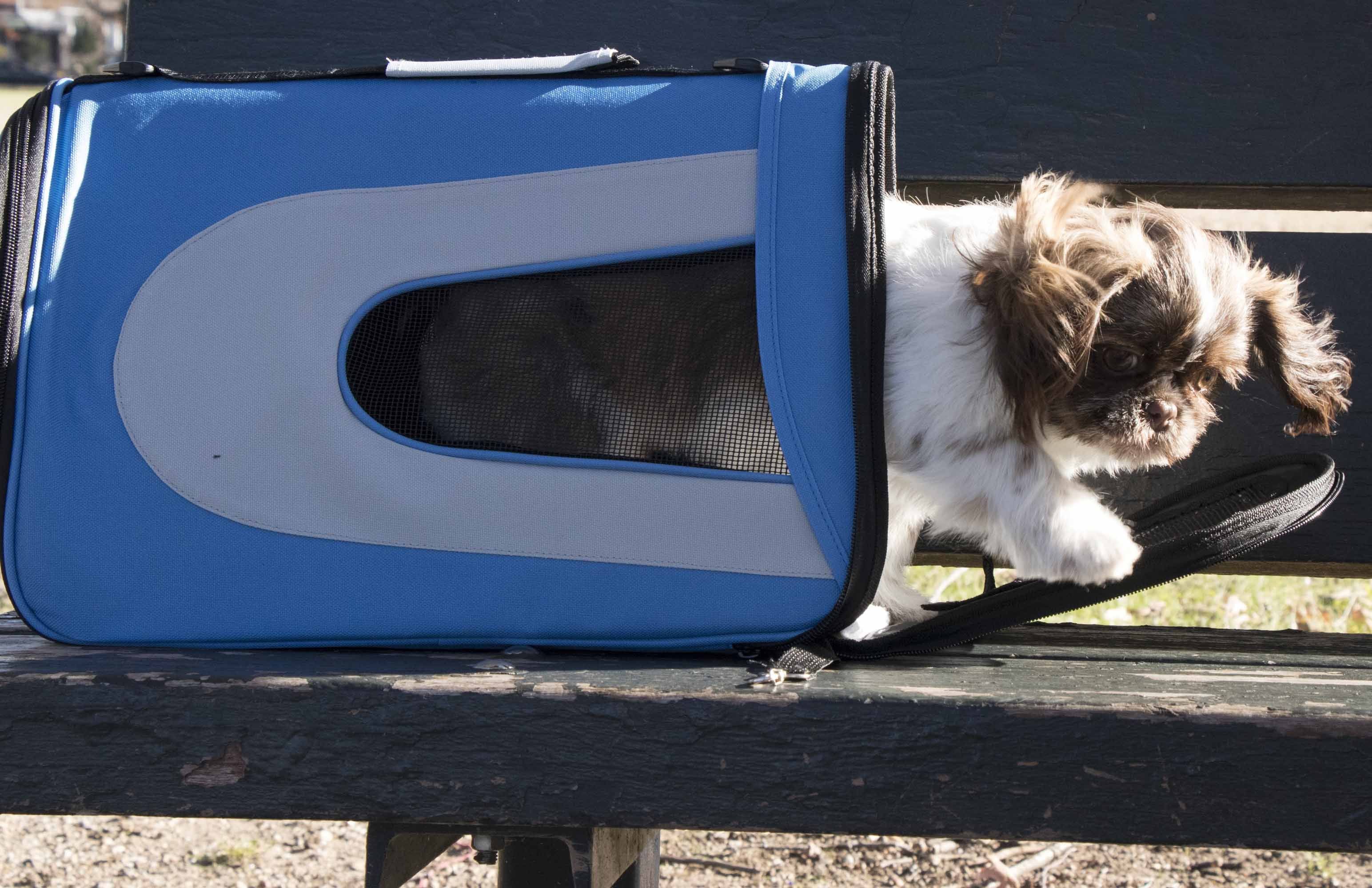Pet Life ® Sporty Mesh Airline Approved Zippered Folding Collapsible Travel Pet Dog Carrier - P's One-Stop Shop 