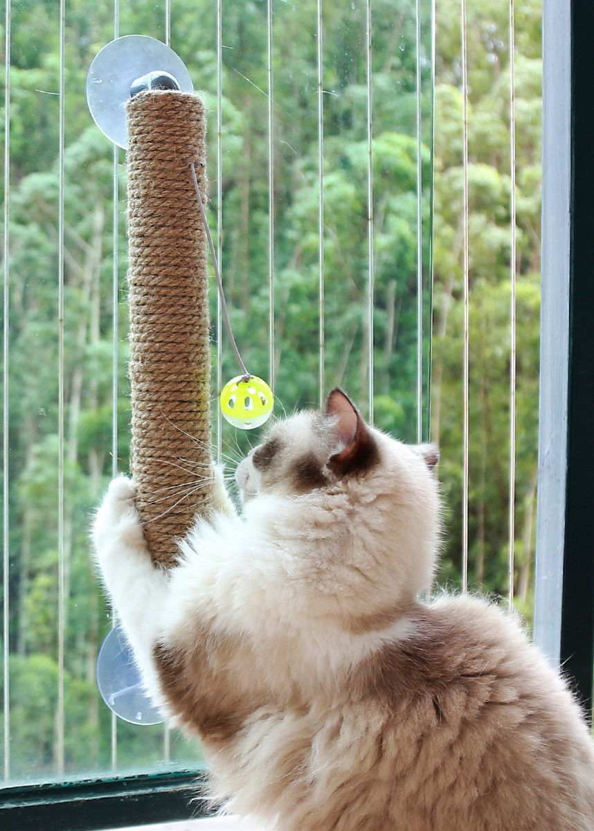 Pet Life ® 'Stick N' Claw' Sisal Rope and Toy Suction Cup Stick Shaped Cat Scratcher - P's One-Stop Shop 