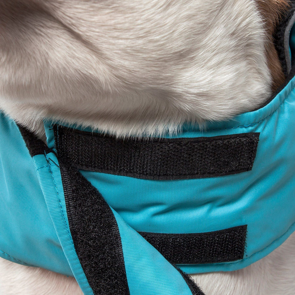 Touchdog ® Lightening-Shield 2-in-1 Dual-Removable-Layered Waterproof Dog Jacket - P's One-Stop Shop 