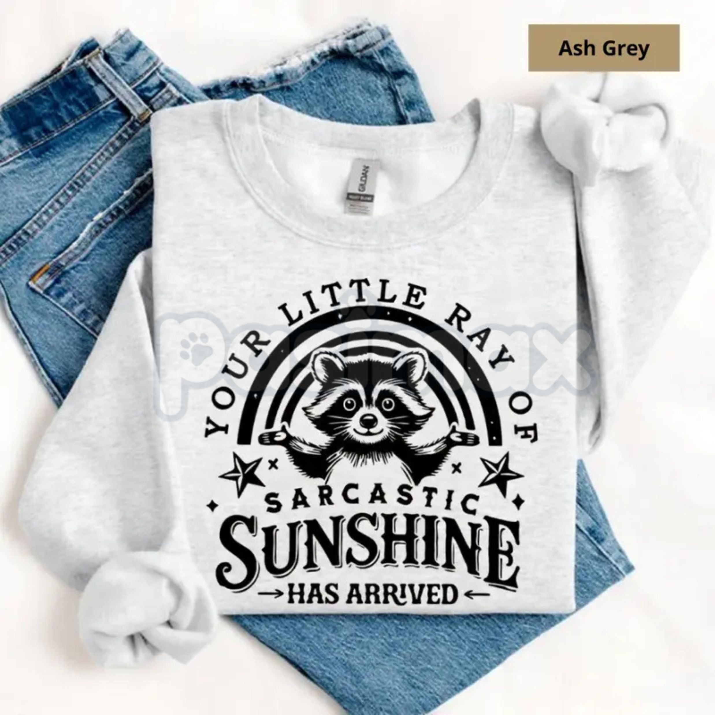 Your Little Ray Of Sarcastic Sunshine Sweatshirt | Funny Sassy Quote Crewneck | Retro Sun Graphic Pullover | Witty Sarcastic Shirt for Women | Sassy Aesthetic Jumper | Irony Inspired Streetwear Top - P's One-Stop Shop 